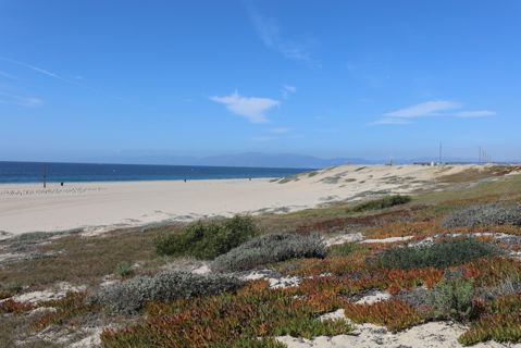Dockweiler Beach | Lifeguard Towers 59-60 Photo 106