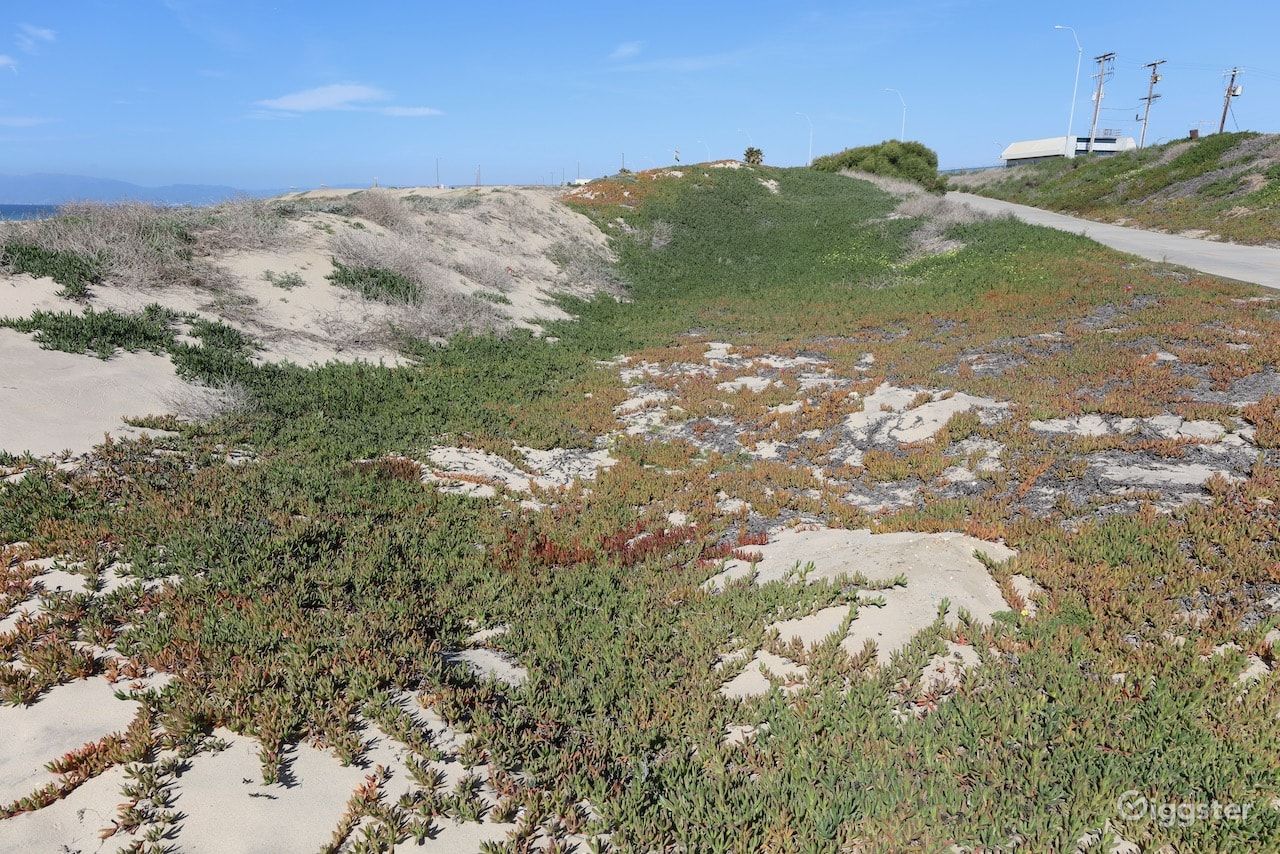 Dockweiler Beach | Lifeguard Towers 59-60 Photo 87