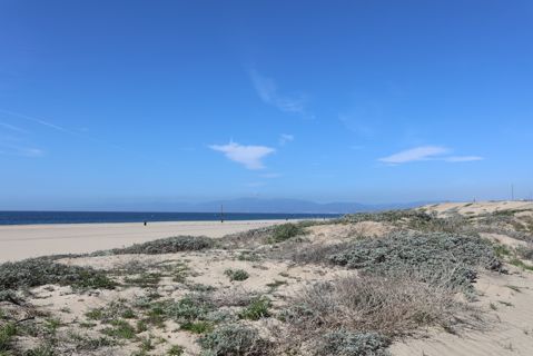 Dockweiler Beach | Lifeguard Towers 59-60 Photo 82