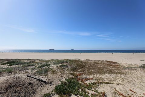 Dockweiler Beach | Lifeguard Towers 59-60 Photo 99
