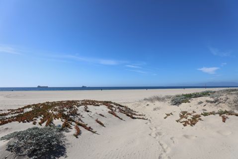 Dockweiler Beach | Lifeguard Towers 59-60 Photo 76