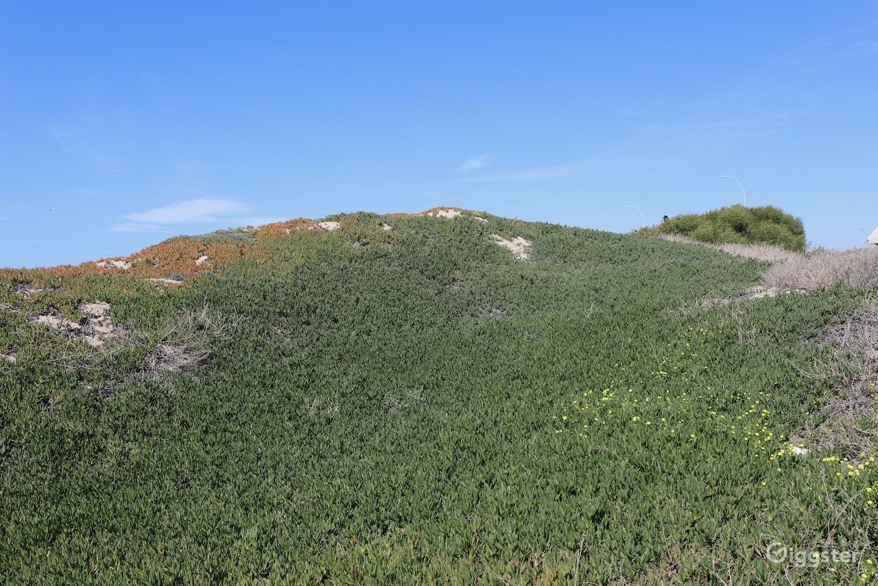 Dockweiler Beach | Lifeguard Towers 59-60 Photo 91