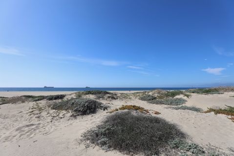Dockweiler Beach | Lifeguard Towers 59-60 Photo 3