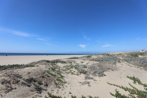 Dockweiler Beach | Lifeguard Towers 59-60 Photo 81