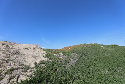 Dockweiler Beach | Lifeguard Towers 59-60 Photo 94