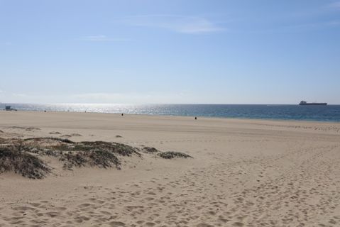 Dockweiler Beach | Lifeguard Towers 59-60 Photo 116