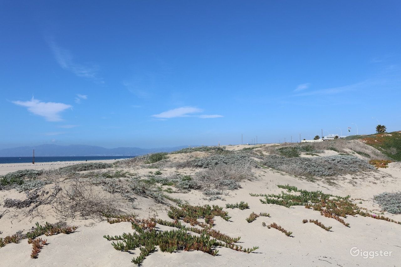 Dockweiler Beach | Lifeguard Towers 59-60 Photo 78