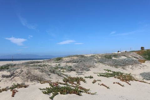 Dockweiler Beach | Lifeguard Towers 59-60 Photo 78