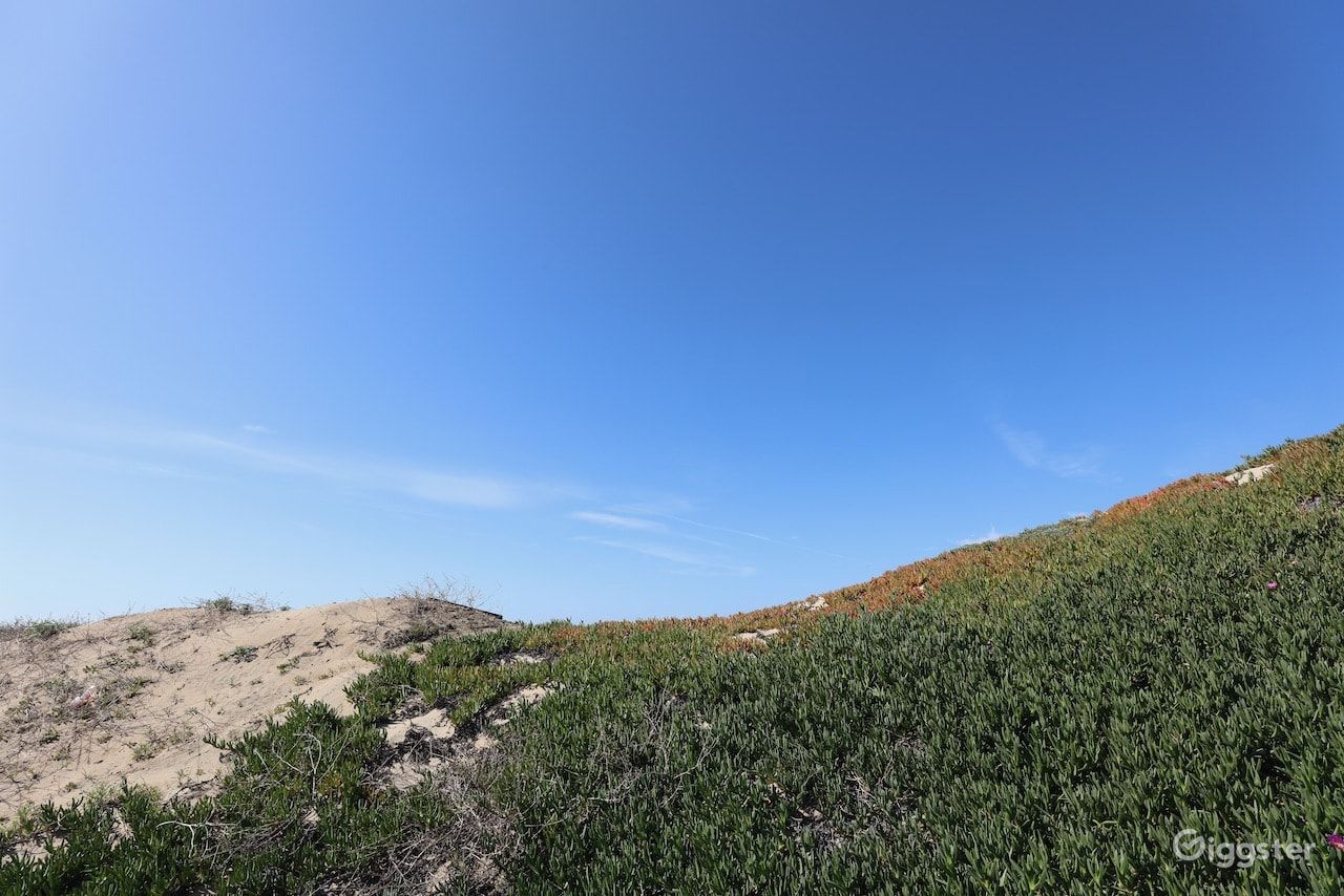 Dockweiler Beach | Lifeguard Towers 59-60 Photo 96