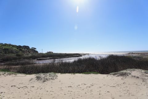 Zuma Beach Photo 66