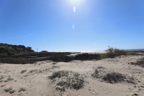 Zuma Beach Photo 64