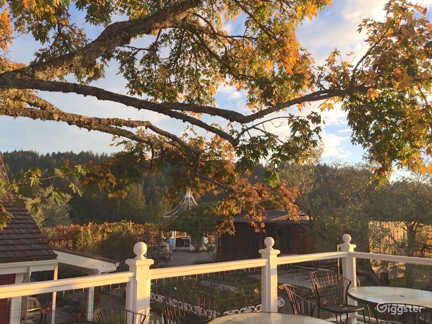 Barrel and Wine Tasting Room in Los Gatos Rent this location on Giggster