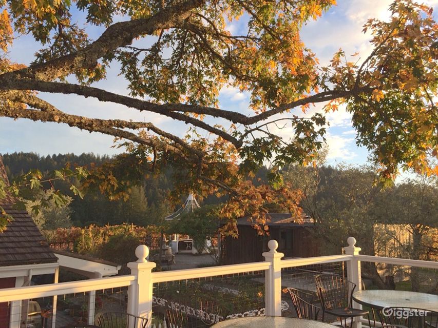 Barrel and Wine Tasting Room in Los Gatos Rent this location on Giggster