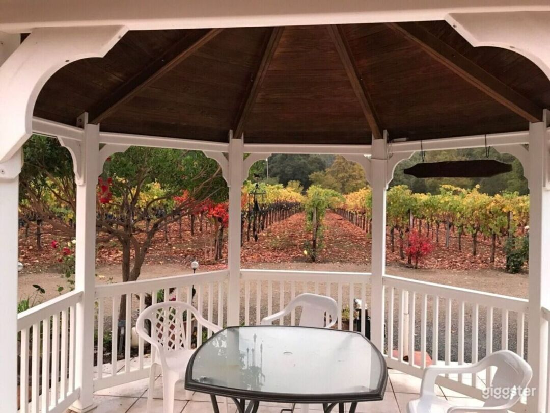 Boutique family estate vineyard and winery Photo 4