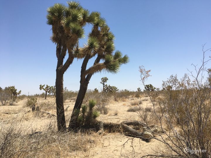 Off-grid Desert Landscape Photo 3