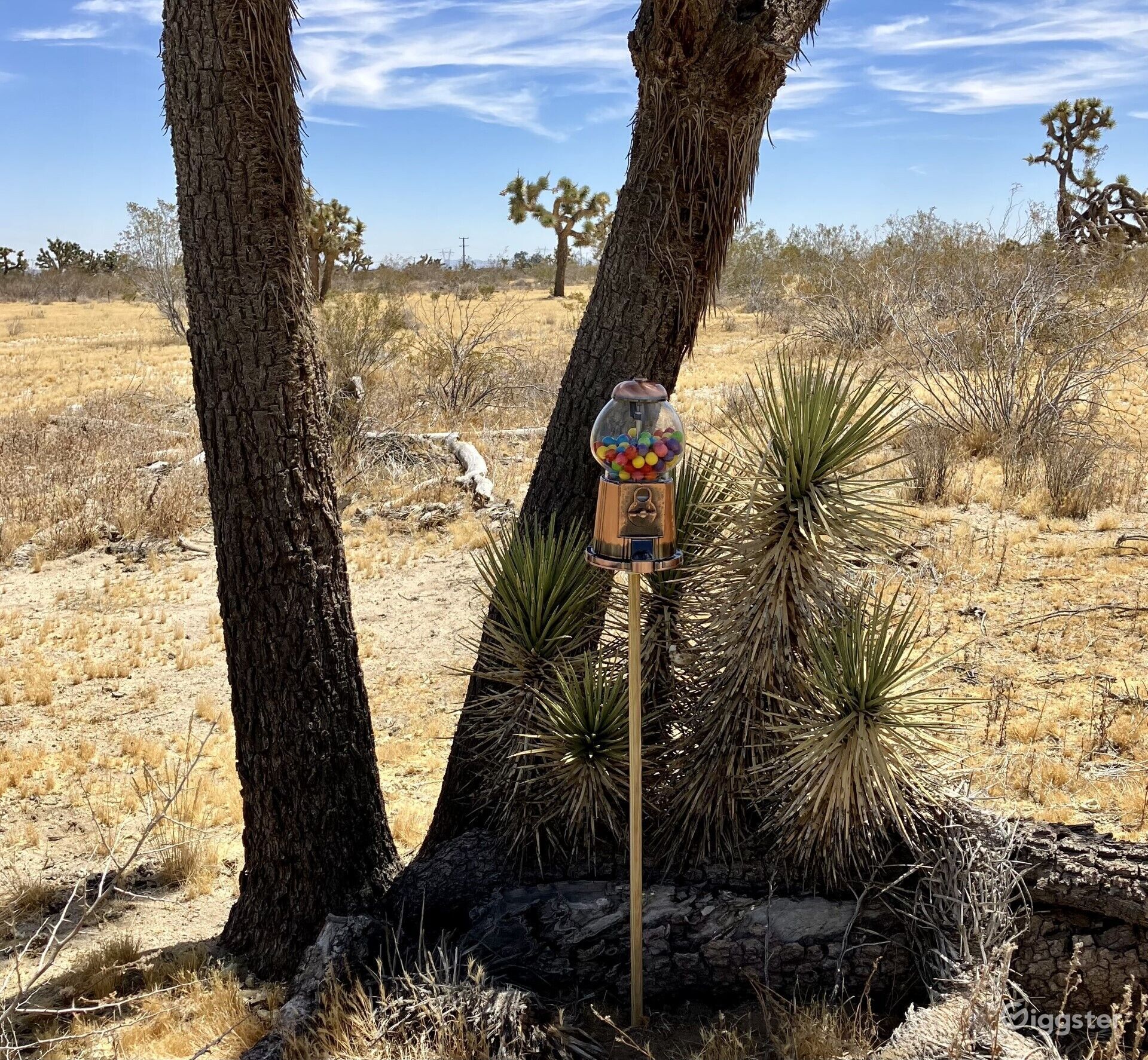 Curated visual reference: Visual Reference: Off Grid Desert Landscape Rent This Location On Giggster