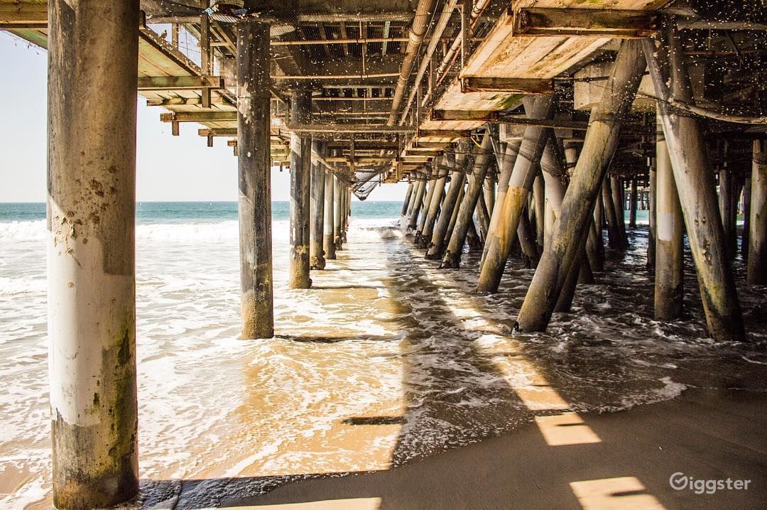 Under the Santa Monica Pier Photo 6