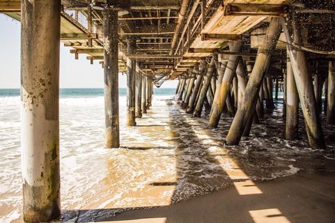 Under the Santa Monica Pier Photo 6