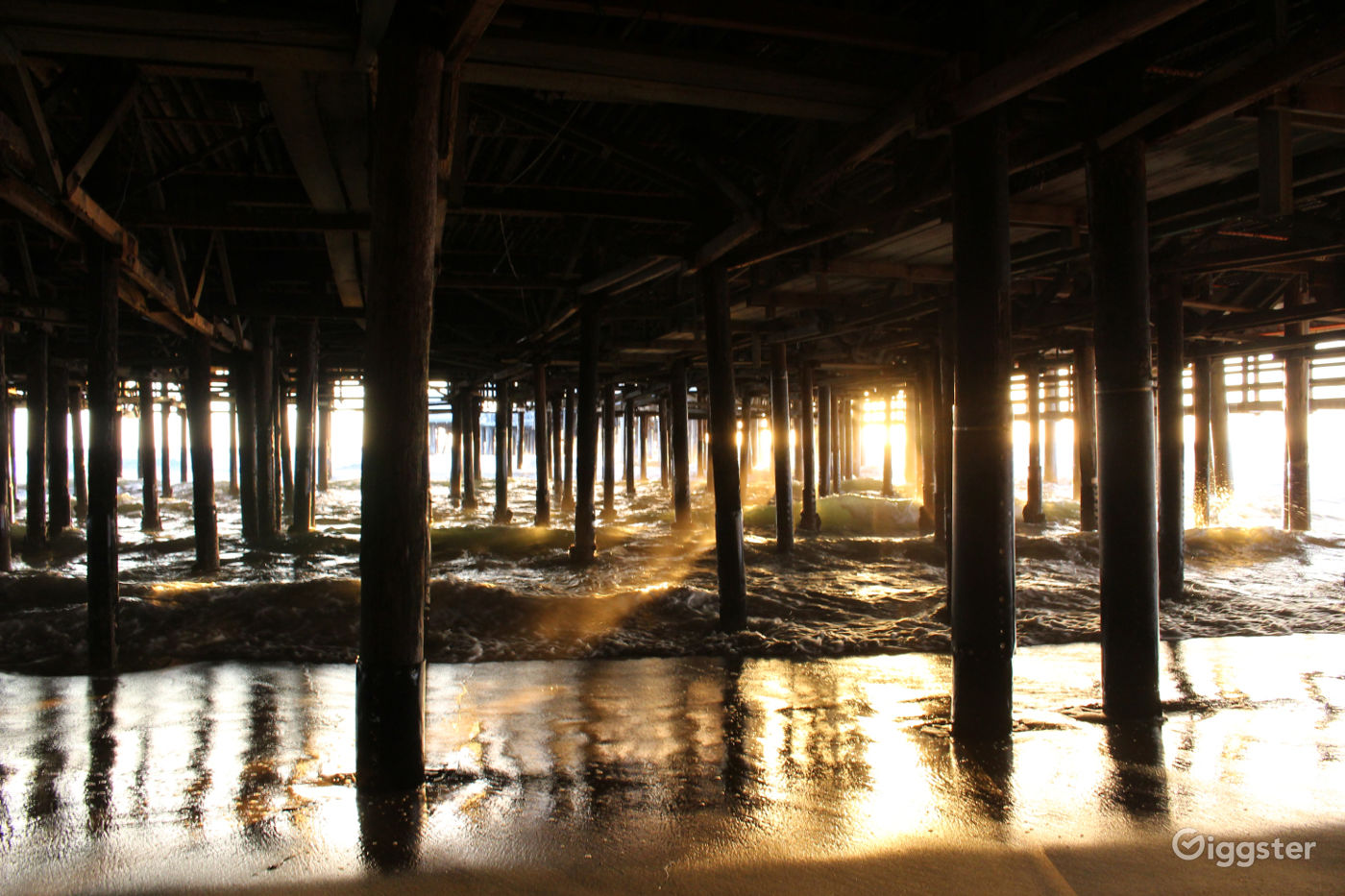 Under the Santa Monica Pier Photo 3