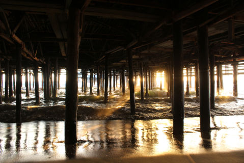 Under the Santa Monica Pier Photo 3