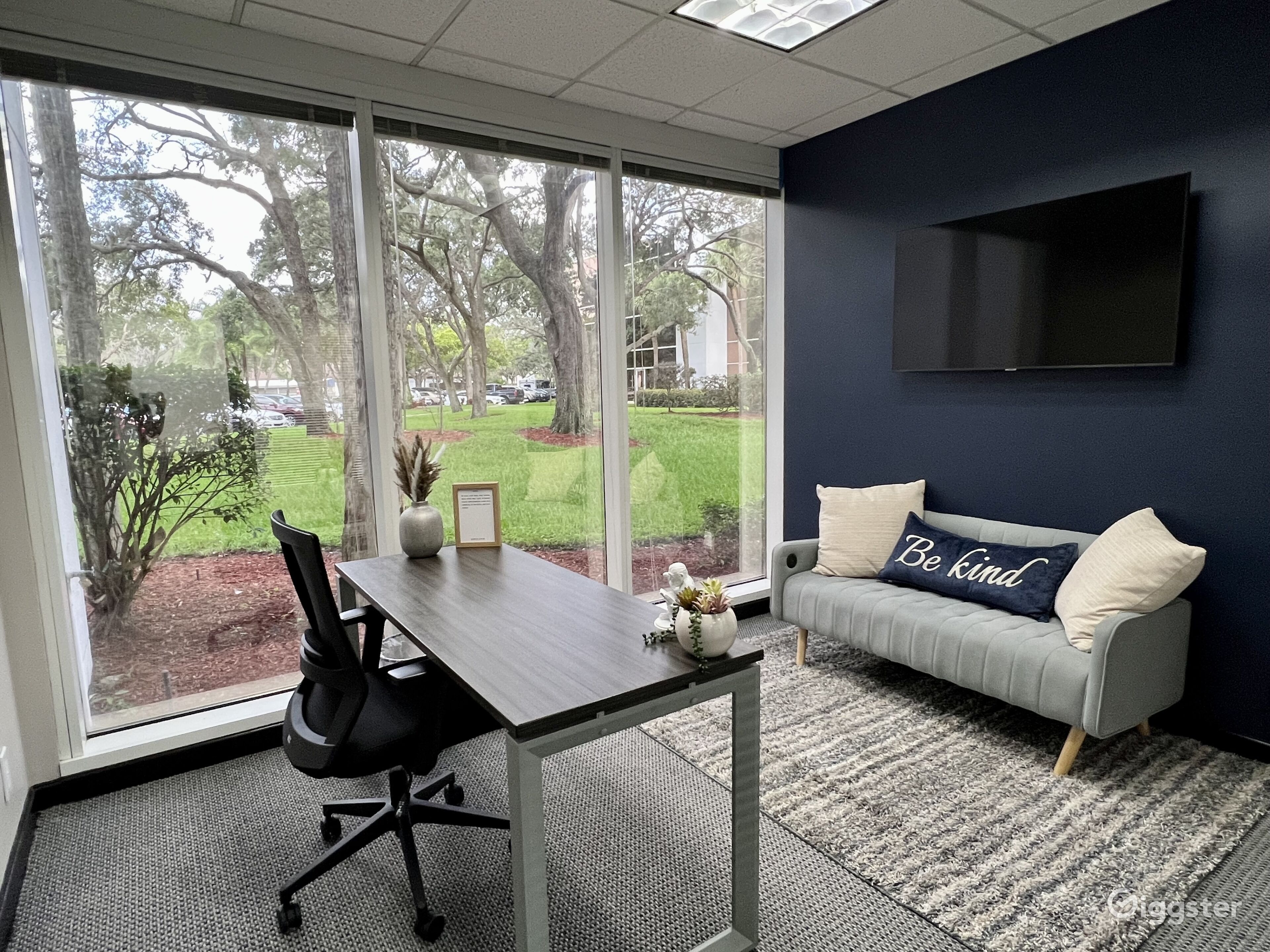 Private Office Room Interior