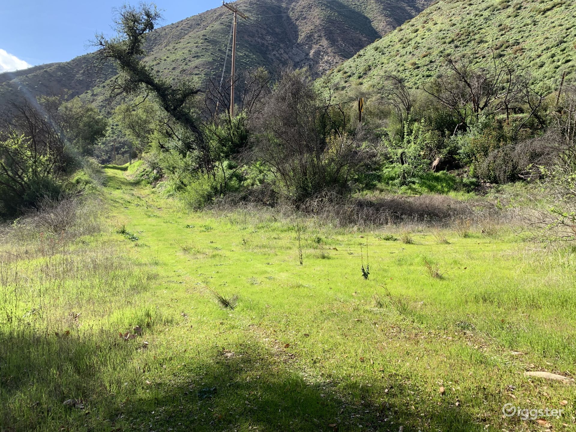 Bare Land with Creek Access Rent this location on Giggster