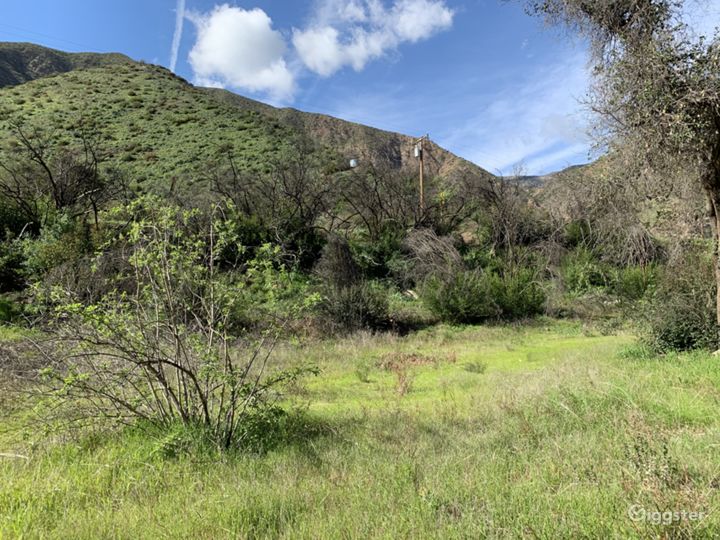 Bare Land with Creek Access Rent this location on Giggster