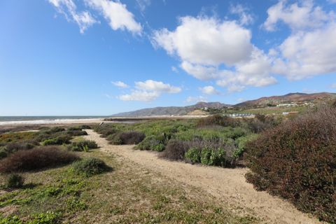 Point Dume Westward Beach Photo 37
