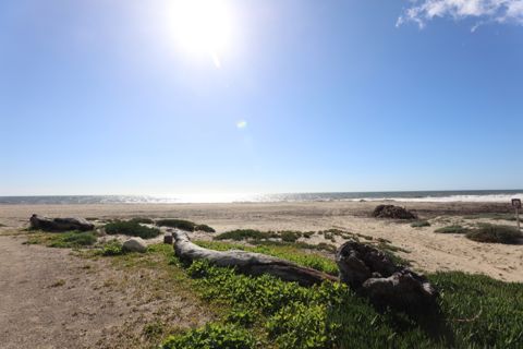 Point Dume Westward Beach Photo 33