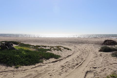 Point Dume Westward Beach Photo 35