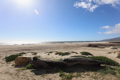 Point Dume Westward Beach Photo 31