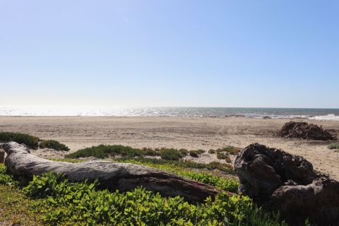 Point Dume Westward Beach Photo 34