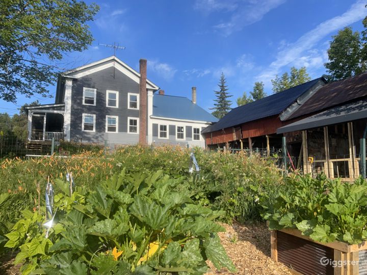 Adirodack 1850 Farmhouse 4 acres, meadows, forests Rent this location