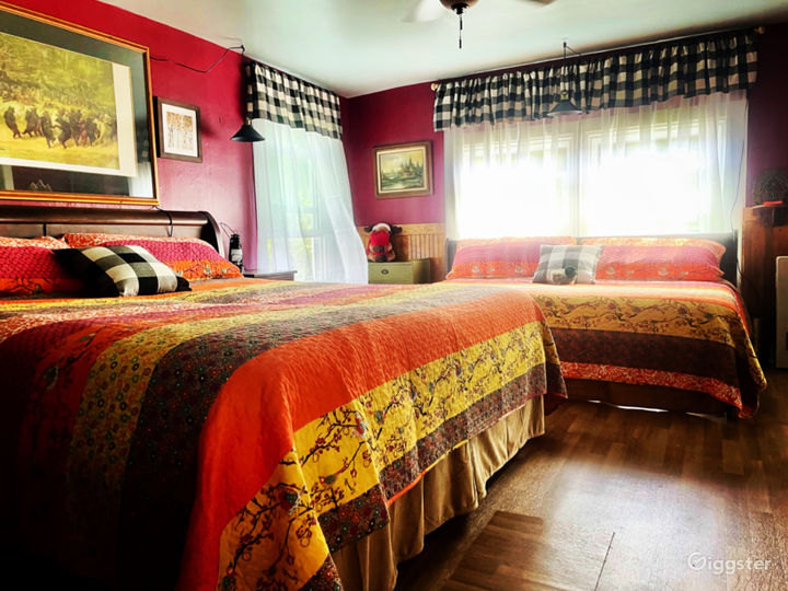 Adirodack 1850 Farmhouse 4 acres, meadows, forests Rent this location