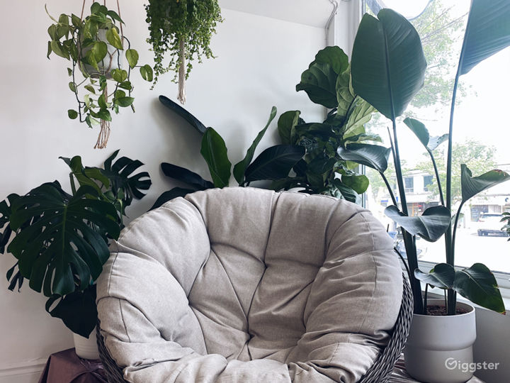 Our papasan plant throne feels like a gentle hug