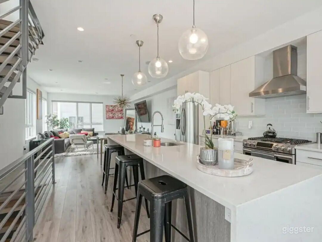Northern Liberties Luxury Home Photo 3