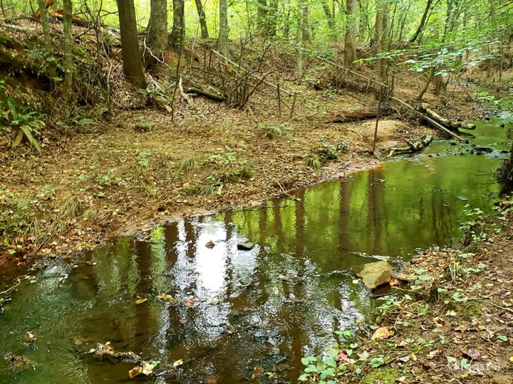 23 Acres on South River Rent this location on Giggster