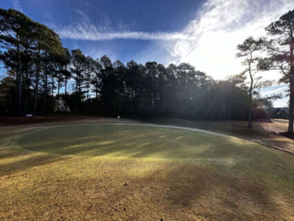 Cinematic Golf Course in Georgia Photo 28
