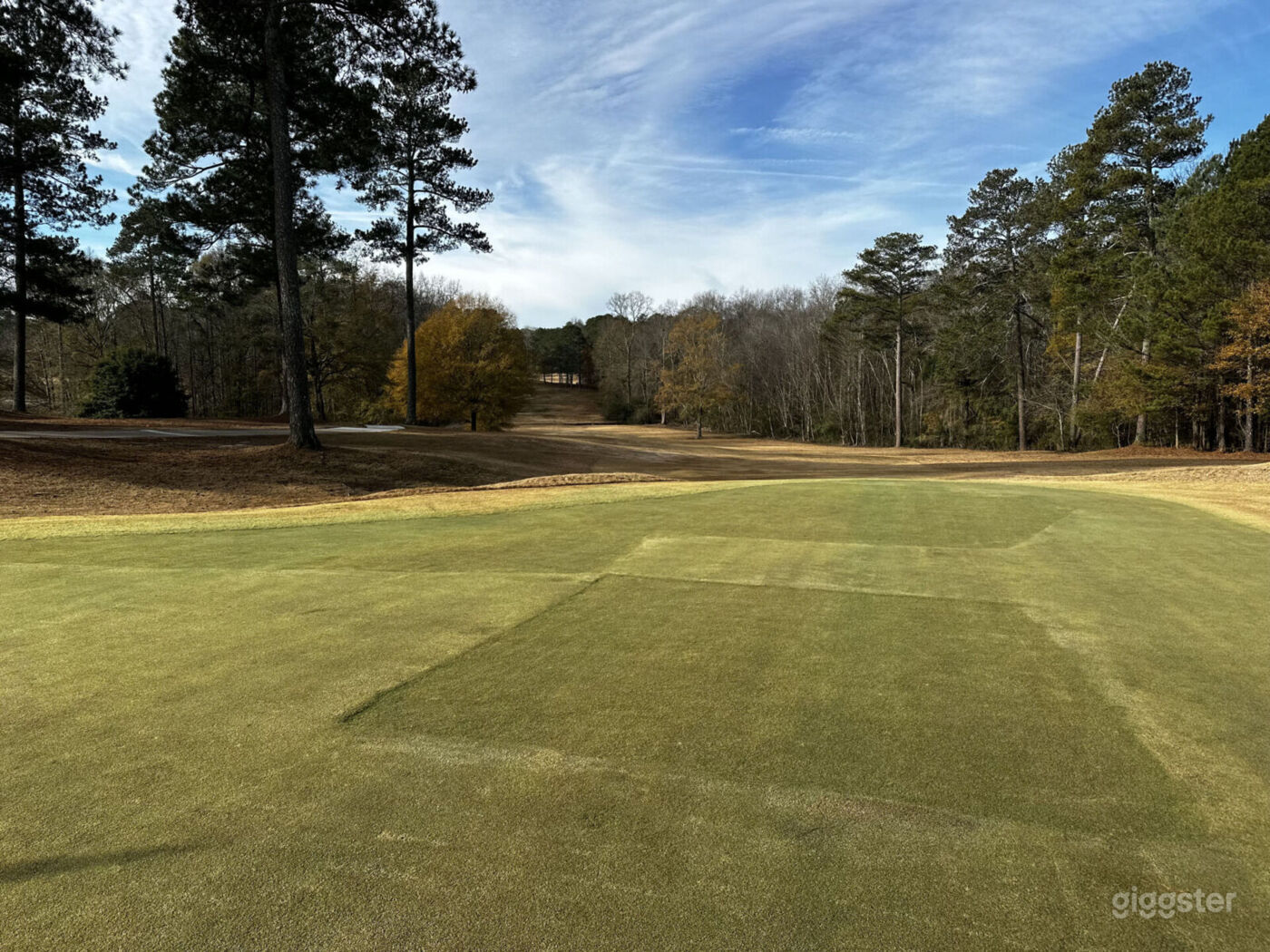 Cinematic Golf Course in Georgia Photo 30