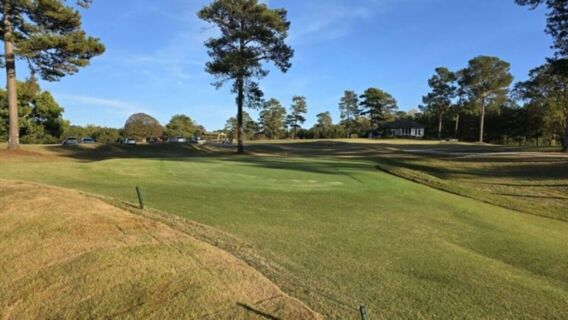 Cinematic Golf Course in Georgia Photo 8