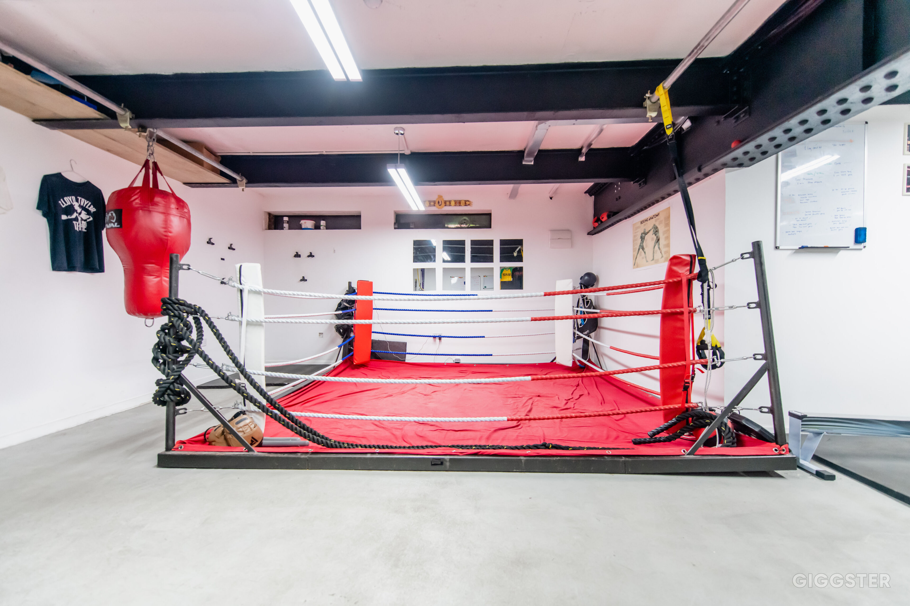 Boxing Ring Gyms With Boxing Bags Floor Boxing Ring – FightstorePro