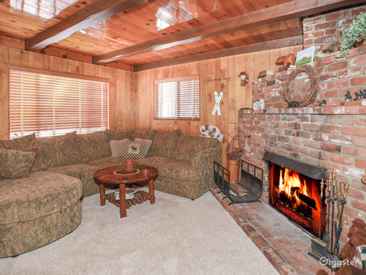 Vintage Big Bear Cabin Photo 2
