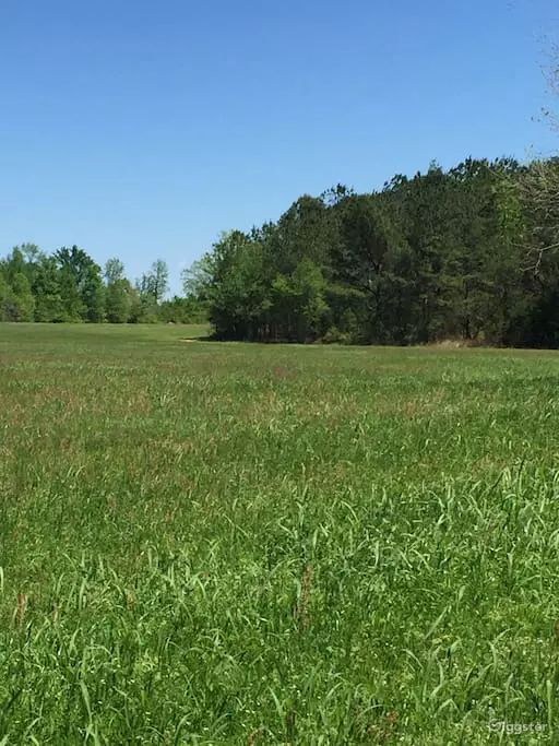 Large Outdoor Grassland Rent this location on Giggster