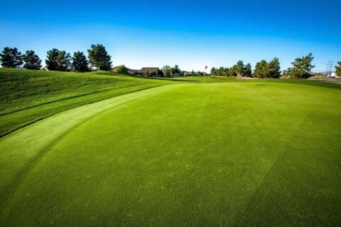 Film Tucson Arizona Golf Course Photo 65