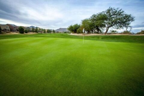 Film Tucson Arizona Golf Course Photo 21