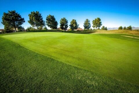 Film Tucson Arizona Golf Course Photo 70