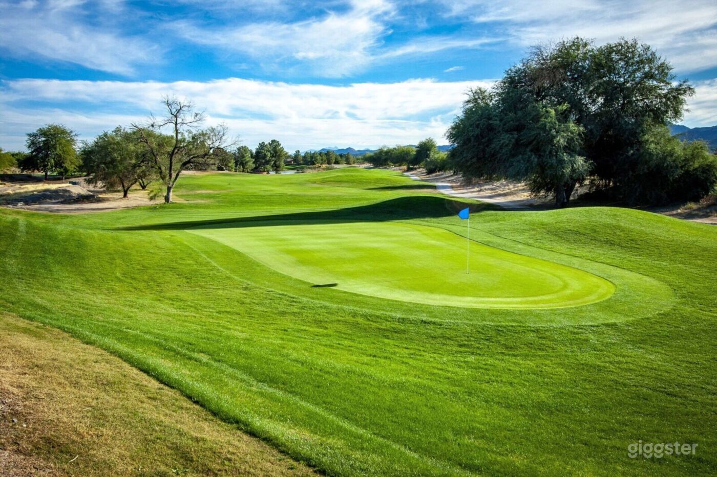 Film Tucson Arizona Golf Course Photo 50