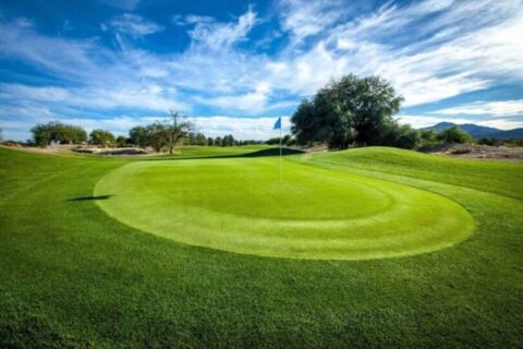 Film Tucson Arizona Golf Course Photo 51