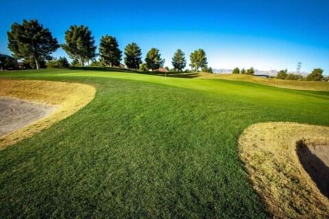 Film Tucson Arizona Golf Course Photo 71