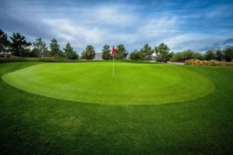 Film Tucson Arizona Golf Course Photo 20